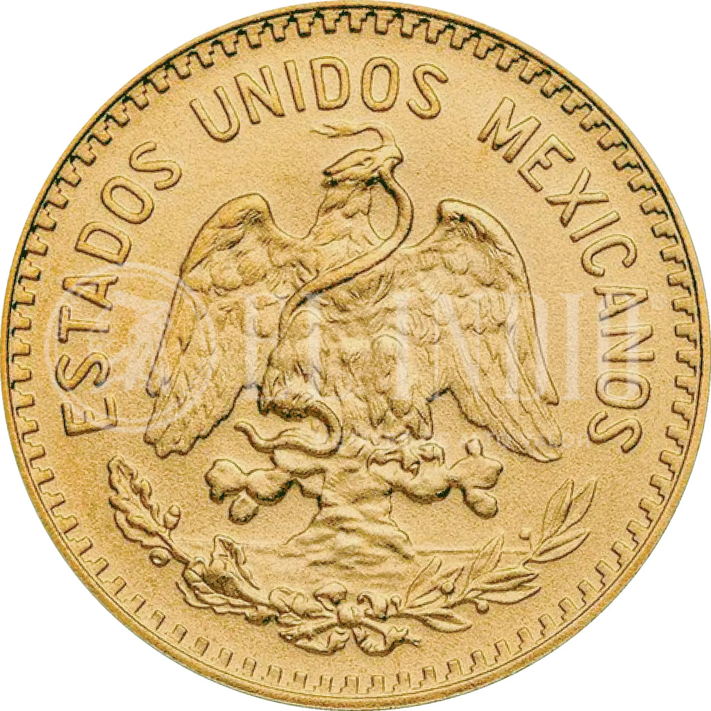 Moneda 10 Pesos Hidalgo Oro (Año Aleatorio)