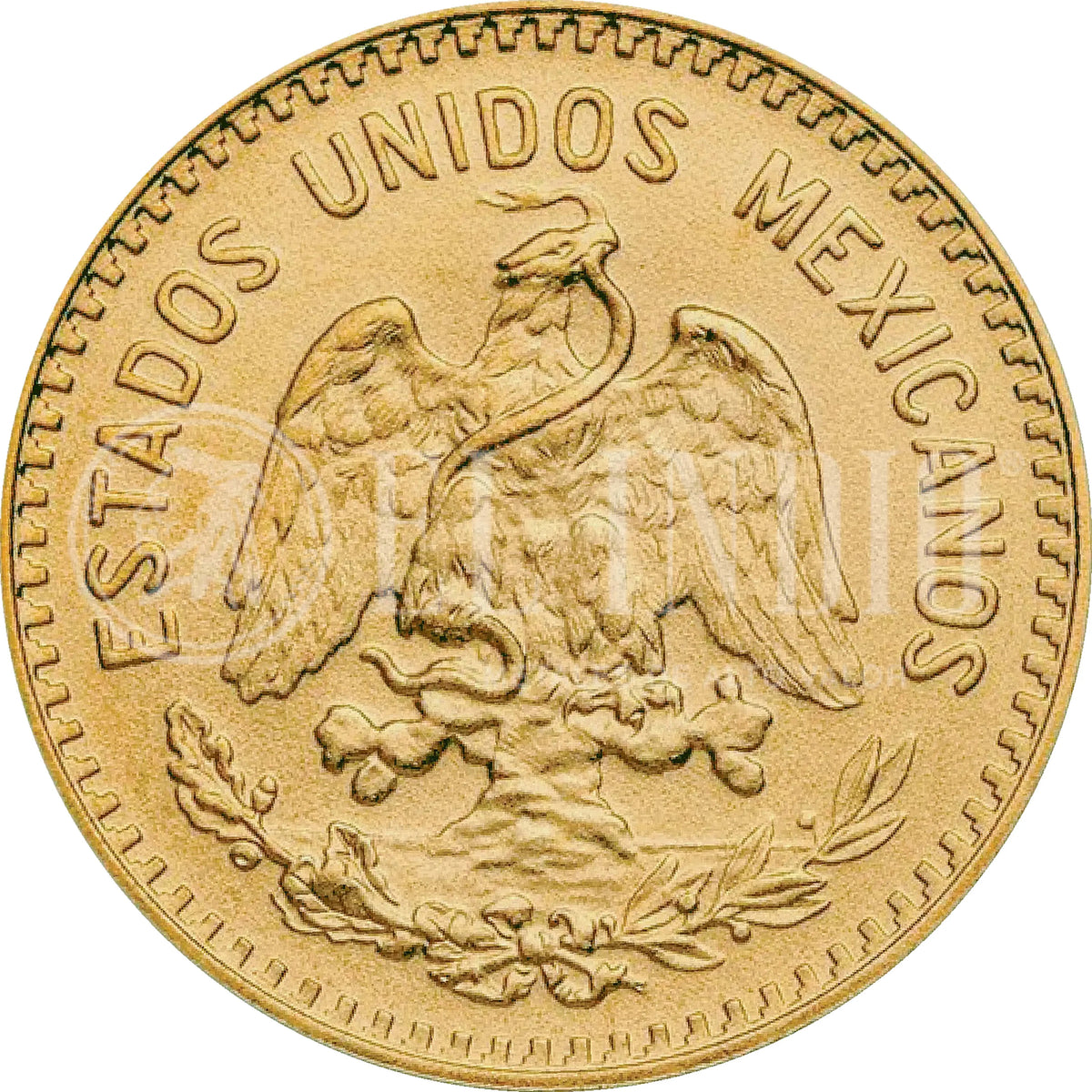 Moneda 10 Pesos Hidalgo Oro (Año Aleatorio)