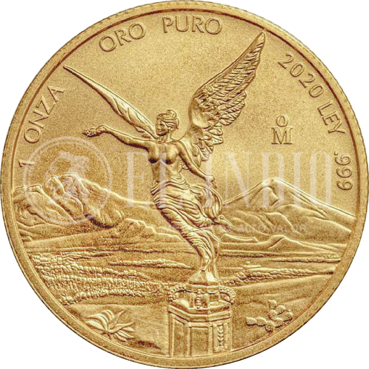 Moneda 1 Onza Libertad Oro