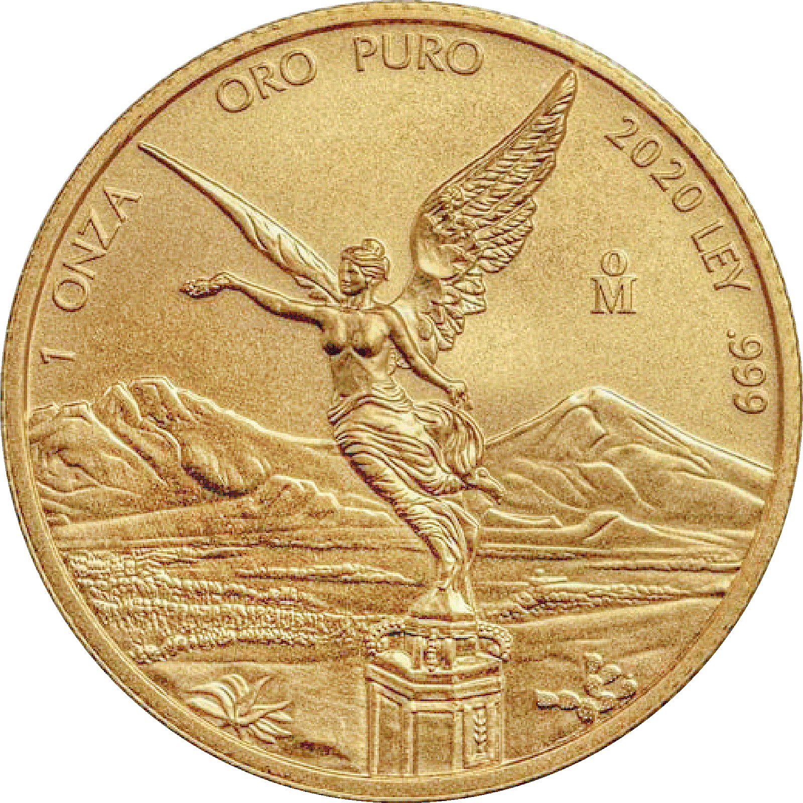 Moneda 1 Onza Libertad Oro
