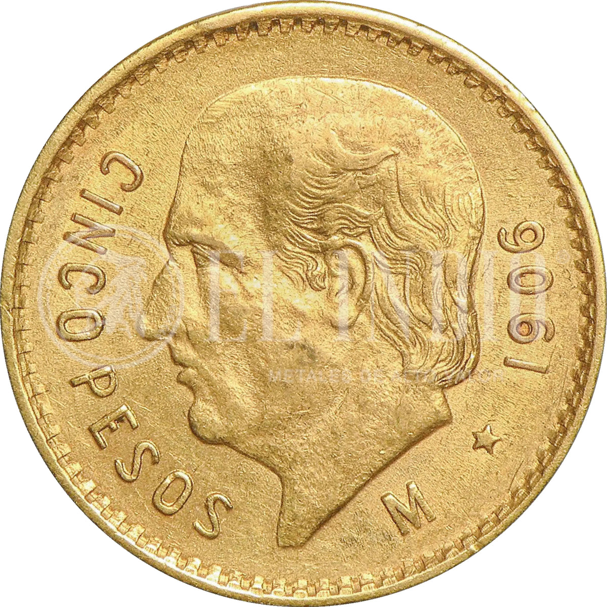 Moneda 5 Pesos Hidalgo Oro (Año Aleatorio)