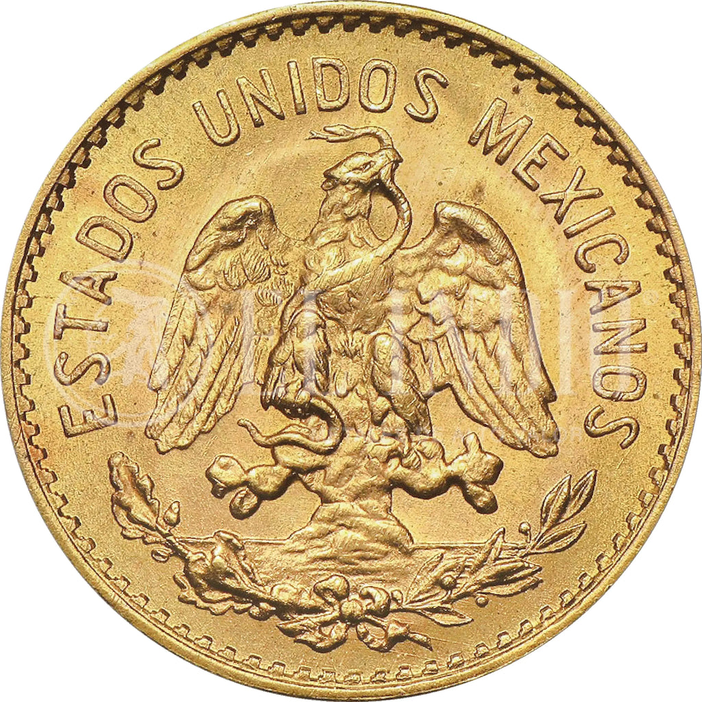Moneda 5 Pesos Hidalgo Oro (Año Aleatorio)