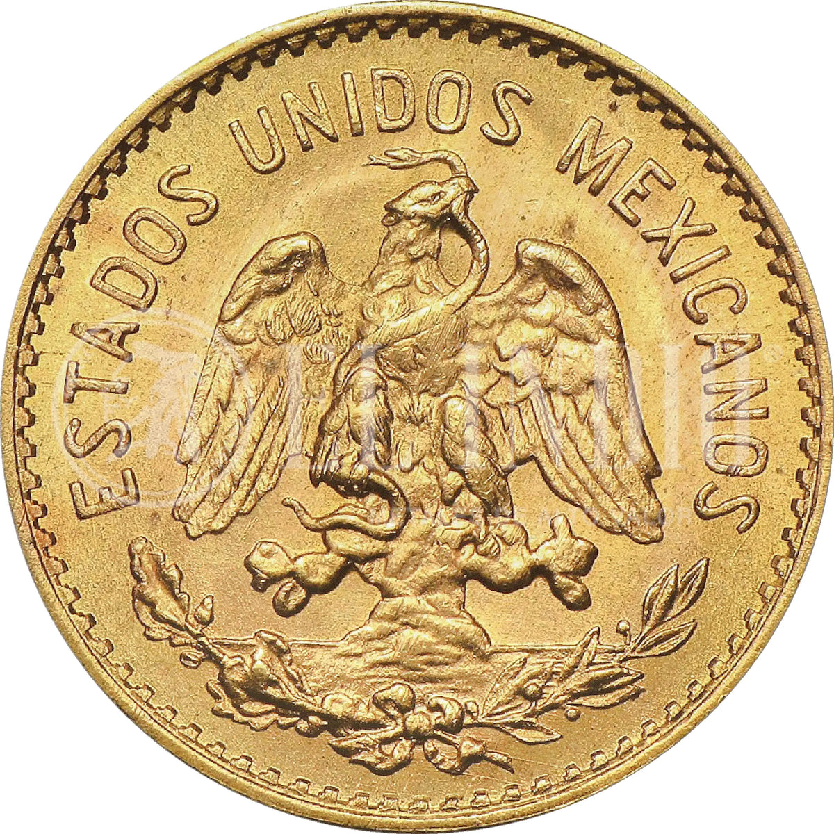 Moneda 5 Pesos Hidalgo Oro (Año Aleatorio)