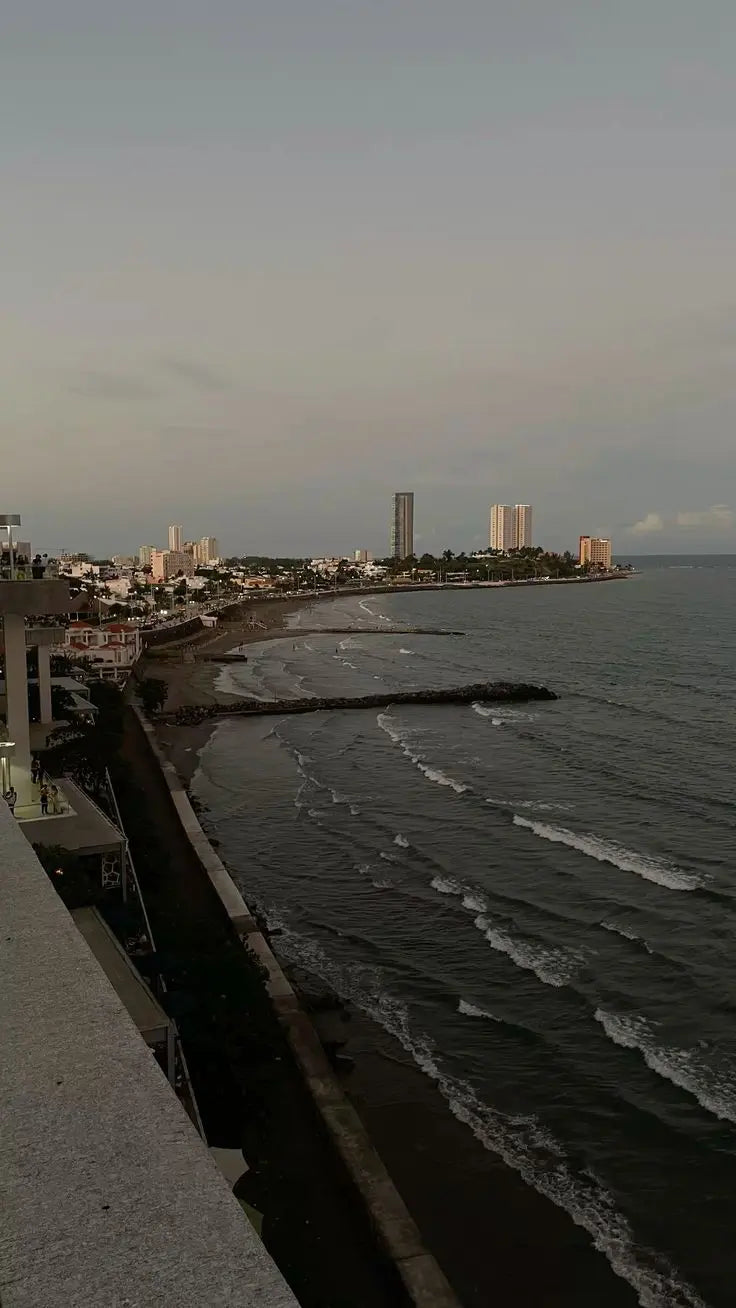 el_indio_monedas_veracruz